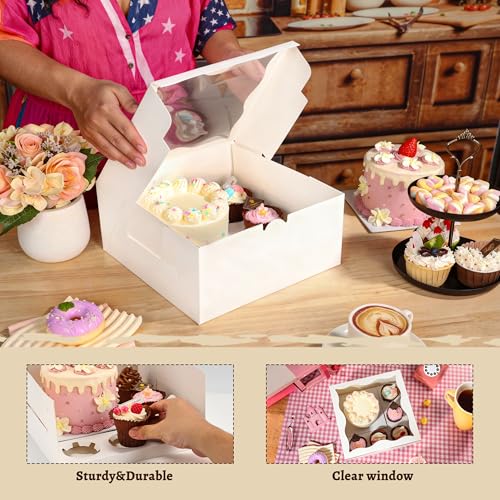 4 Pack Clear Window Bento Cake & Cupcake Boxes - Perfect for 5 Cupcakes & Mini Cake