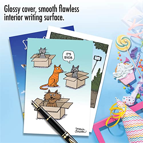 Funny Animal Birthday Greeting Cards - Assorted 3 Pack with Envelopes