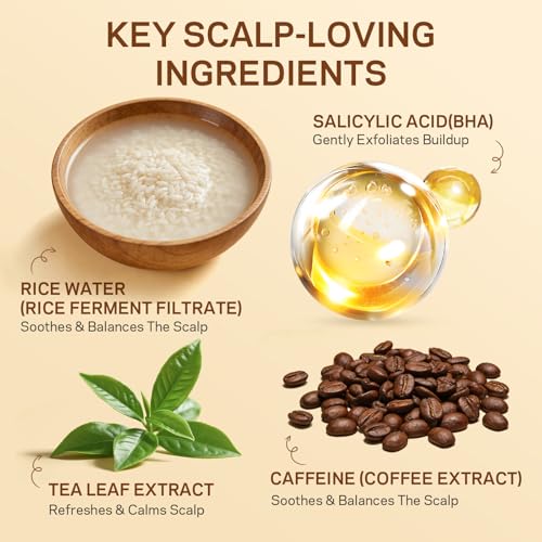 AMOADO Rice Water Scalp Scrub with Salicylic Acid(BHA), Tea Tree & Rosemary ? Gentle Exfoliating Scalp Scrub Shampoo for Dandruff, Removes Buildup, Controls Oil & Refreshes the Scalp, 8.8 oz