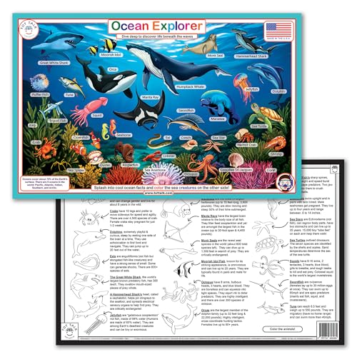 Ocean Explorer Double-Sided Placemat for Kids - Educational & Wipe-Clean