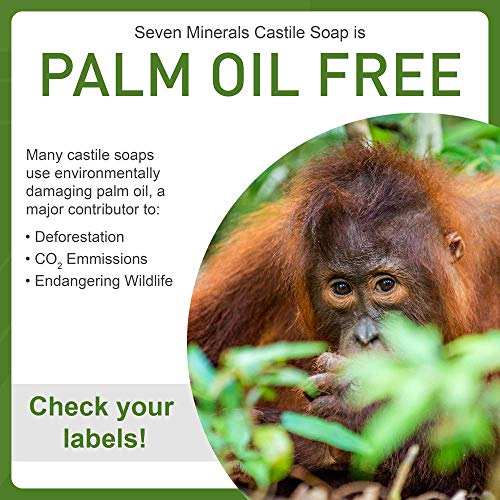 Seven Minerals Unscented Castile Soap 33.8 fl oz - Vegan & Palm Oil-Free
