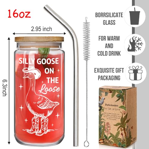 Funny Goose Glass Cup with Bamboo Lid & Straw - 16OZ Gift