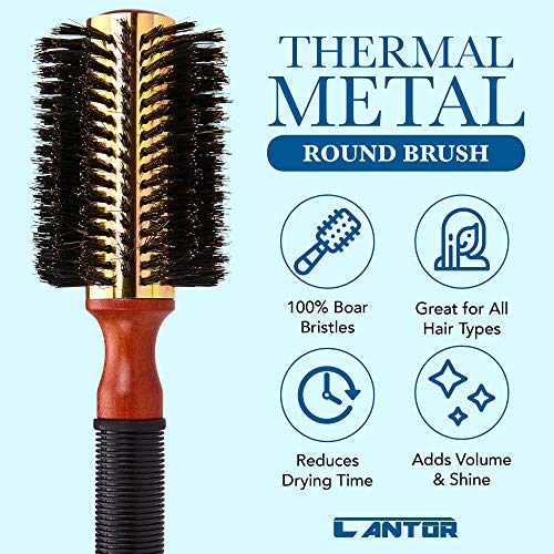 Cantor 2.5 Inch - 12 Row Round Blow Dry Brush with Boar Bristles & Metal Barrel for Short to Medium Hair