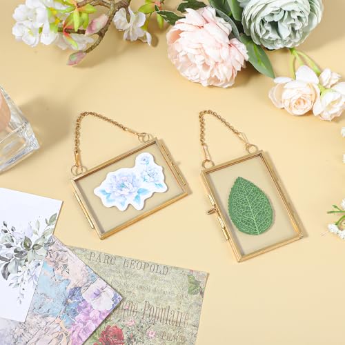 YUXIANLB 4 Pcs Mini Double Glass Frame for Pressed Flowers - 2x3 Inch Gold Wall Hanging Decor
