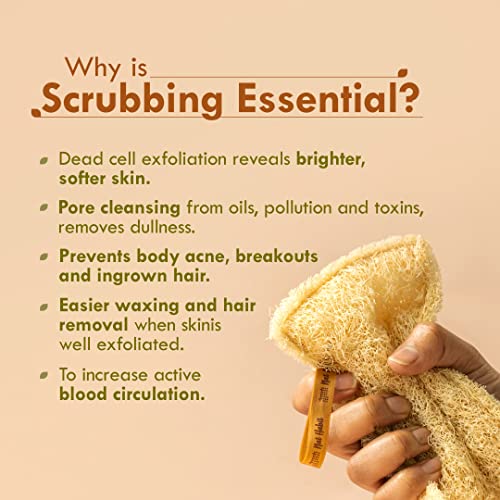 Nat Habit Natural Sun Dried Bath Loofah - Exfoliating Body Sponge (2 Pack)