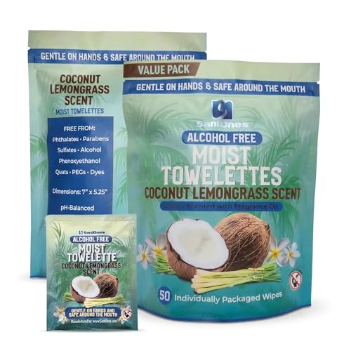 SaniOnes Individually Wrapped Hand Wipes - Alcohol-Free Travel Packets