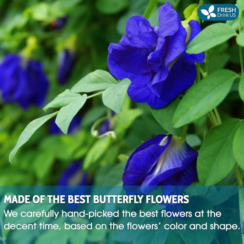 Premium Dried Butterfly Pea Flowers for Herbal Tea Brewing - 1010+ Whole Flowers, Caffeine Free & Vegan
