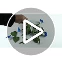 3D Printed Magnetic Ivy Fridge Magnets - Set of 2 Decor