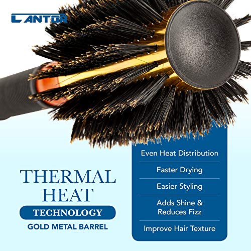 Cantor 2.5 Inch - 12 Row Round Blow Dry Brush with Boar Bristles & Metal Barrel for Short to Medium Hair