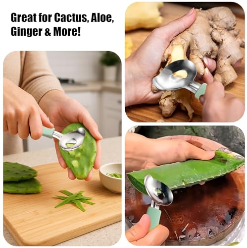 Cactus Peeler Tool Set - 2 Mint Green Stainless Steel Peelers for Nopales Prep