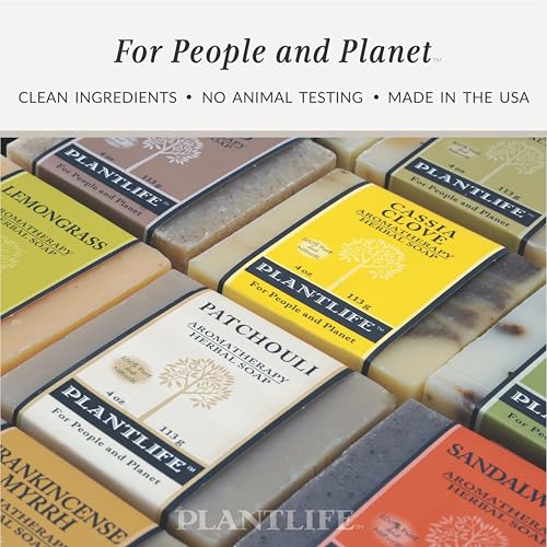 Plantlife Peppermint Natural Bar Soap 2-Pack - Handcrafted Vegan 4 oz