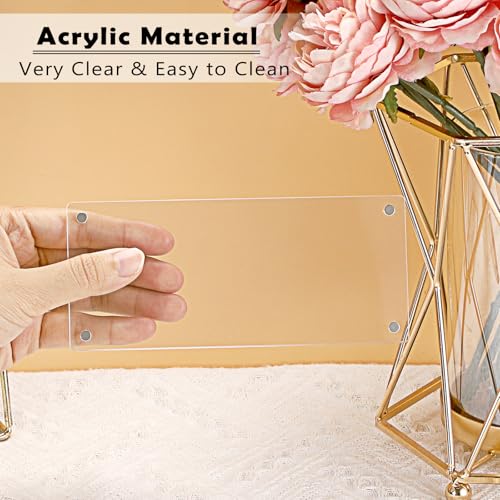Clear Acrylic Ticket Stub Display Holder - 2.8x6.3 Inch Frame