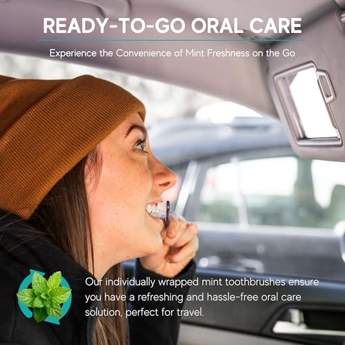 Avistar 40-Pack Prepasted Disposable Toothbrushes – Individually Wrapped