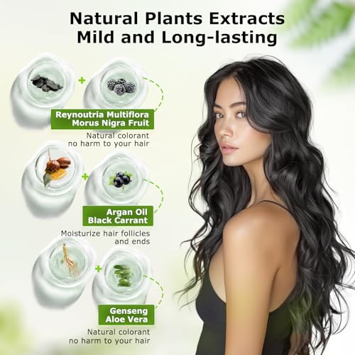 Limer Natural Black Hair Dye Shampoo Pack of 10 - Ammonia-Free, Gentle & Nourishing