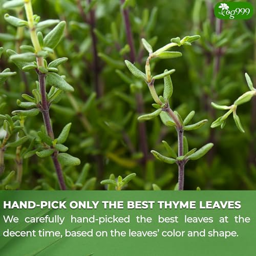 TOG999 Natural Thyme Leaf Tea Bags - Caffeine-Free, Vegan