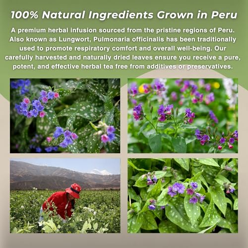Hanan Lungwort Loose Leaf Tea - Premium Herbal Tea for Respiratory Health