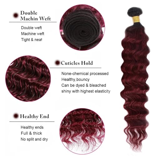 Burgundy Deep Wave Human Hair Bundles - 14, 16, 18 Inch Remy