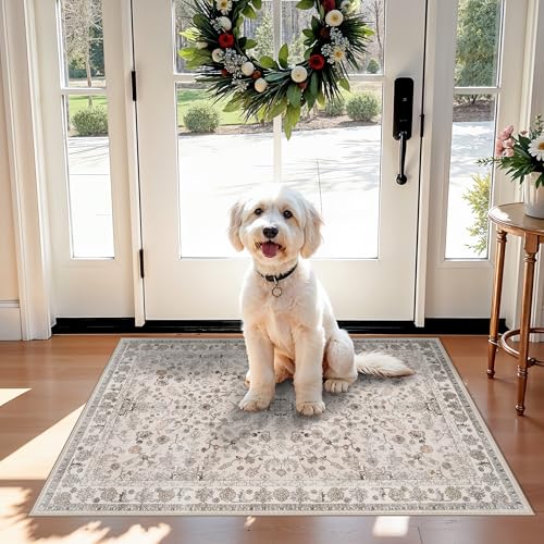 Non-Slip Washable Boho Kitchen Rug 2x3 - Soft Accent Mat for Entryway & Bathroom
