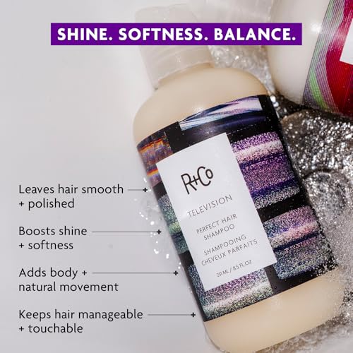 R+Co TELEVISION Perfect Hair Shampoo, 2 Fl Oz - Moisturizing & Detoxifying