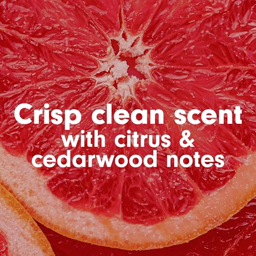 Softsoap Antibacterial Liquid Hand Soap, Crisp Clean, 11.25 fl oz (Pack of 6)