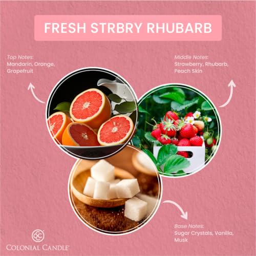 Colonial Candle Fresh Strawberry Rhubarb Scented Jar Candle - 2 Wick, 3.5 oz