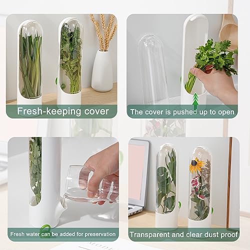 Herb Saver for Refrigerator - 2 Pack Upright Herb Keeper with Water Base