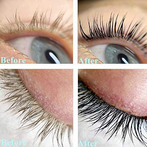 Libeauty Black Lash Tint Kit - 6 Week Keratin Eyelash & Eyebrow Dye