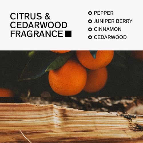 Bravo Sierra Citrus & Cedarwood Aluminum-Free Deodorant 3.2 oz