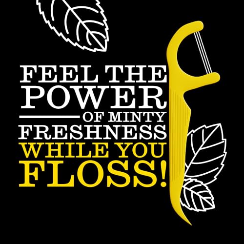 TWICE Eco-Friendly Dental Floss Picks – 300 Count, Mint Flavor