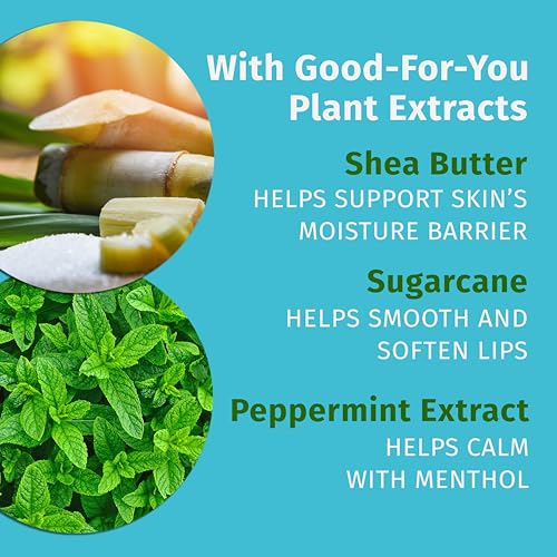 Hempz Crushed Peppermint Sugar Lip Balm .44 oz - Hydrating & Nourishing
