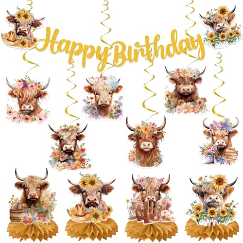 19PCS Highland Cow Birthday Decorations Set - Farm Theme Party Supplies