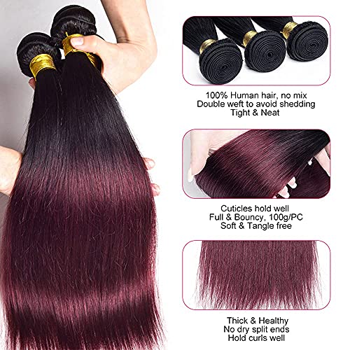 Luxvogue 26-30 Inch Burgundy T1B/99J Human Hair Bundles