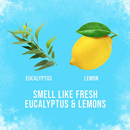 Axé Ice Chill Body Spray Pack of 3 | Lemon & Eucalyptus 48H Freshness