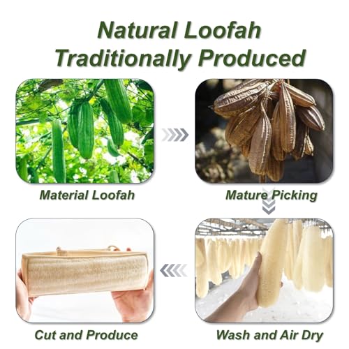 YUNKWONG 1 Count Natural Loofah Sponge with Handle - Exfoliating Body Scrubber for Men Women Shower Set