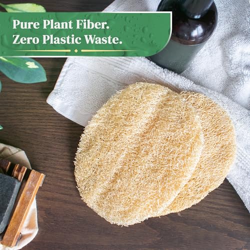 Natural Loofah Exfoliating Body Scrubber | 8 Pack Biodegradable Loufa Spa Sponge