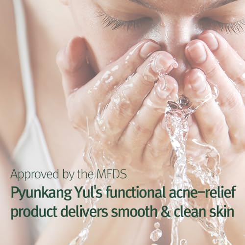 Pyunkang Yul Calming Cleansing Foam with AHA & Witch Hazel - 3.38 Fl. oz