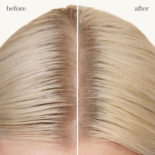 Pureology Refresh & Go Dry Shampoo 1.2 oz for Oily Hair - Vegan