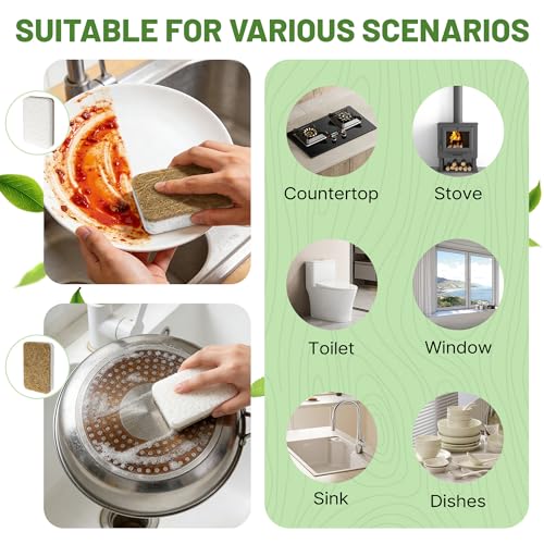 Plant-Based Kitchen Sponges - 12 Count Biodegradable & Non-Scratch