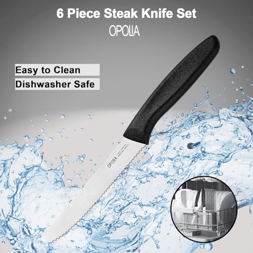 6-Piece Serrated Steak Knife Set with Ergonomic Handles