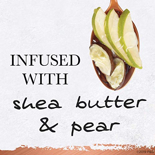 Hair Food Color Repair Concentrate with Shea Butter & Pear, 4 Pack