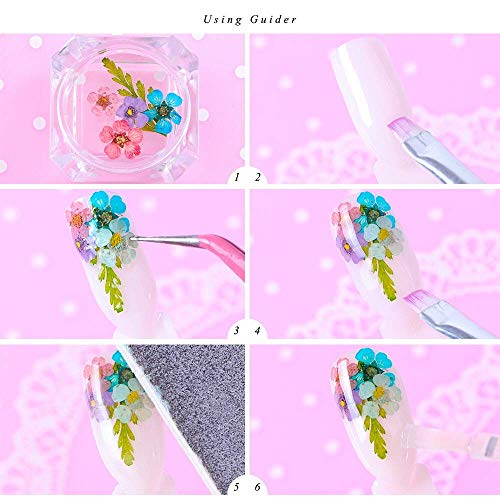 KISSBUTY Dried Flower Nail Art Kit – 2 Boxes, 24 Colors Mini Real Flowers & Leaves