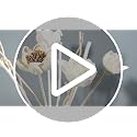 14-Piece Natural Flower Reed Diffuser Sticks Set for Home Decor