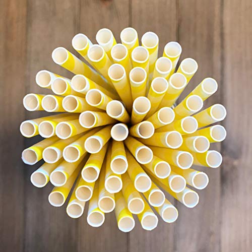 Pastel Stripe Paper Straws - 150 Biodegradable Straws for Parties