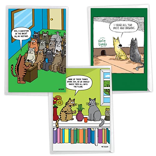 Funny Cat Birthday Cards Assorted Pack of 3 with Envelopes