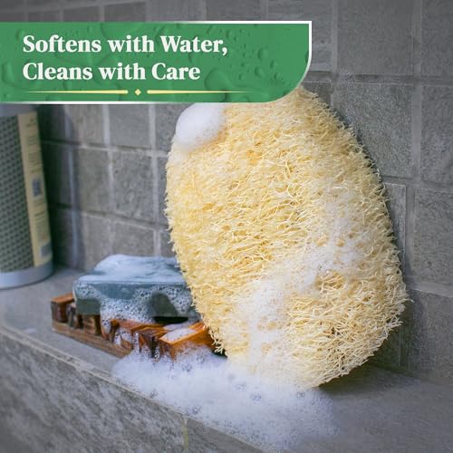 Natural Loofah Exfoliating Body Scrubber | 8 Pack Biodegradable Loufa Spa Sponge