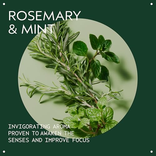 Aveda Rosemary Mint Weightless Conditioner for Normal to Oily Hair