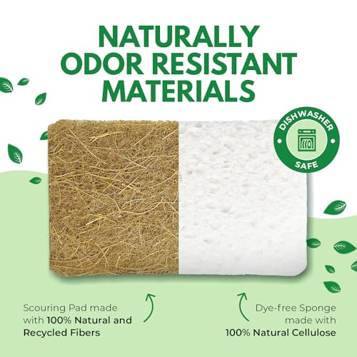 Biodegradable Kitchen Sponges - Natural Cellulose & Coconut, Pack of 6