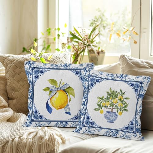 Sun Bird Lemon Chinoiserie Pillow Covers, 18x18 Set of 2