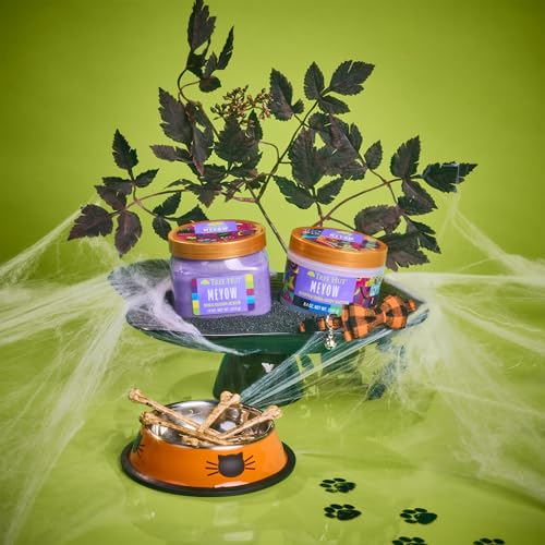 Tree Hut Blackberry Shea Sugar Scrub & Whipped Body Butter Duo