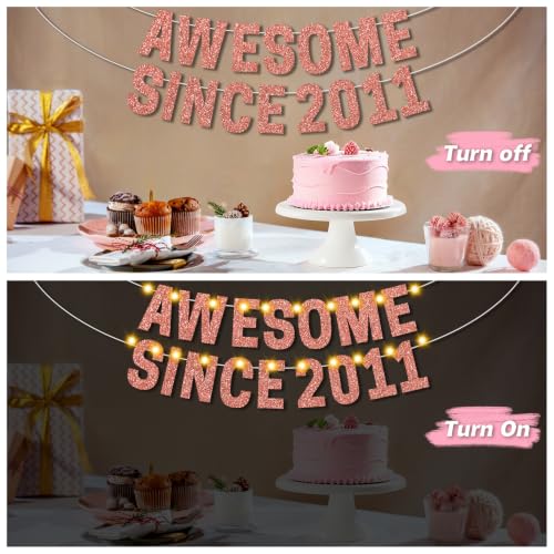 Rose Gold 15th Birthday Decorations with LED Lights | Awesome Since 2011 Banner